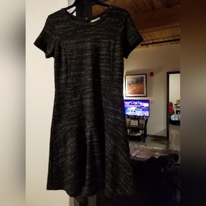 LOFT, Short sleeved Dress.. beautiful slight flare.